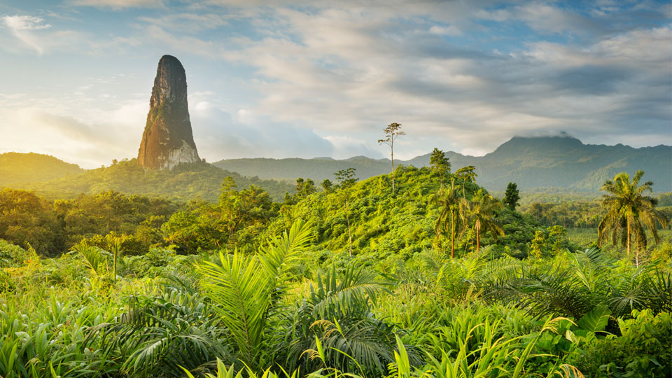 Der nadelförmige Vulkankern Pico Cão Grande überragt den Regenwald im Süden der Insel © Justin Foulkes