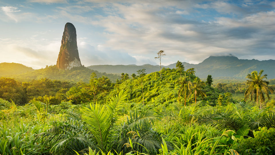 Der nadelförmige Vulkankern Pico Cão Grande überragt den Regenwald im Süden der Insel © Justin Foulkes
