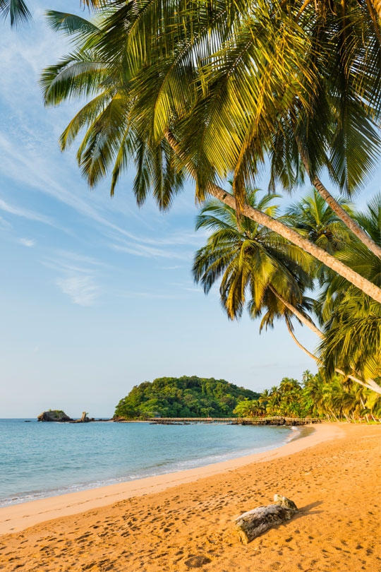 Palmen-Paradies: Der herrliche Strand von Bom Bom auf Príncipe © Justin Foulkes