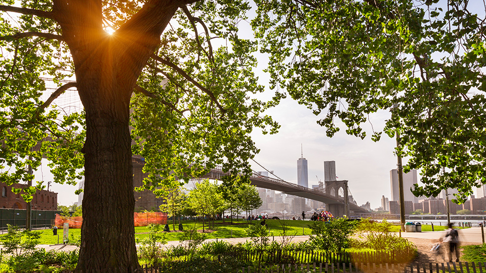 Der Brooklyn Bridge Park ist ein traumhafter Ort in NYC - und ganz umsonst, ©Henglein and Steets/Getty Images