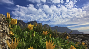 Lonely Planet Online-Reiseführer Kapstadt