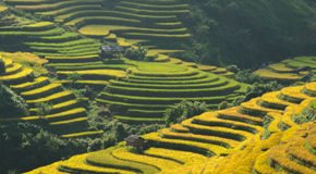 Lonely Planet Online-Reiseführer China