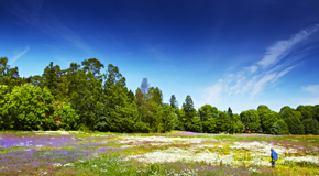 Lonely Planet Online-Reiseführer Schweden