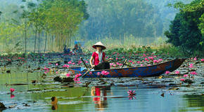 Lonely Planet Online-Reiseführer Vietnam