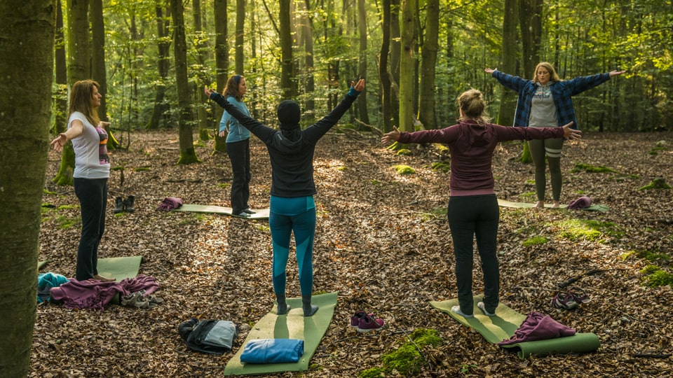 Morgen-Yoga unter Baumwipfeln. Foto: Frits Meyst / WideOyster.com