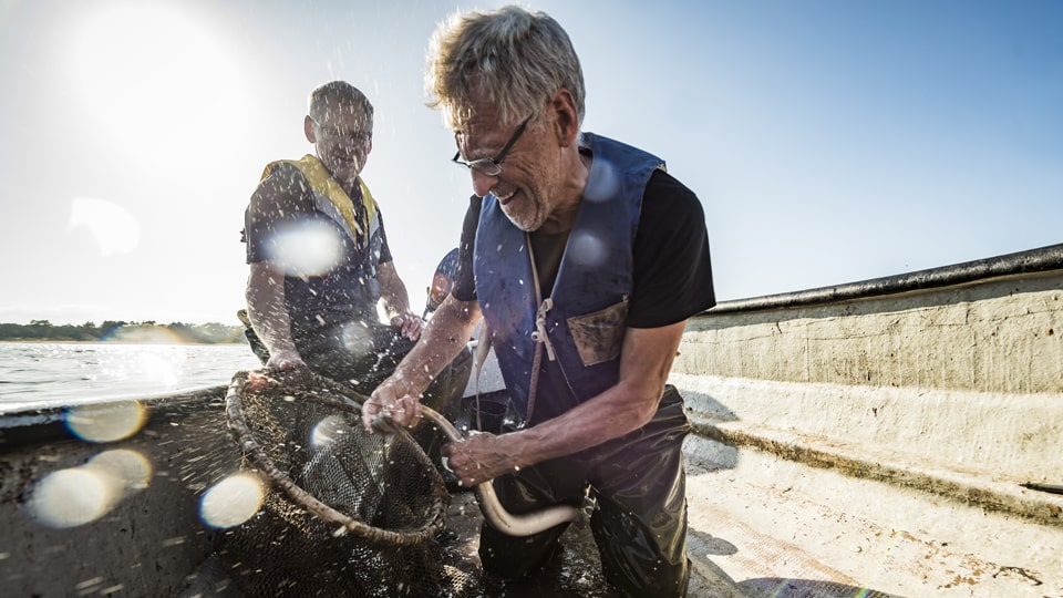 Die Brüder Mats und Max gehören zu einigen Wenigen, die die Erlaubnis haben, Aale zu fischen. Foto: Frits Meyst / WideOyster.com