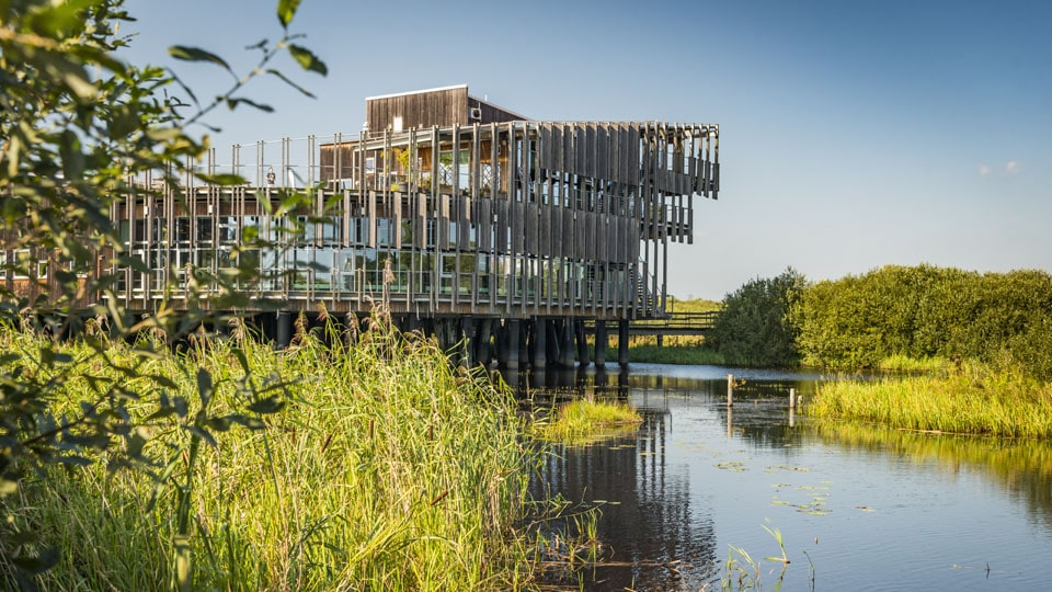 Unbedingt sehenswert: Das Besucherzentrum Naturum Vattenriket in Kristianstad. Foto: Frits Meyst / WideOyster.com