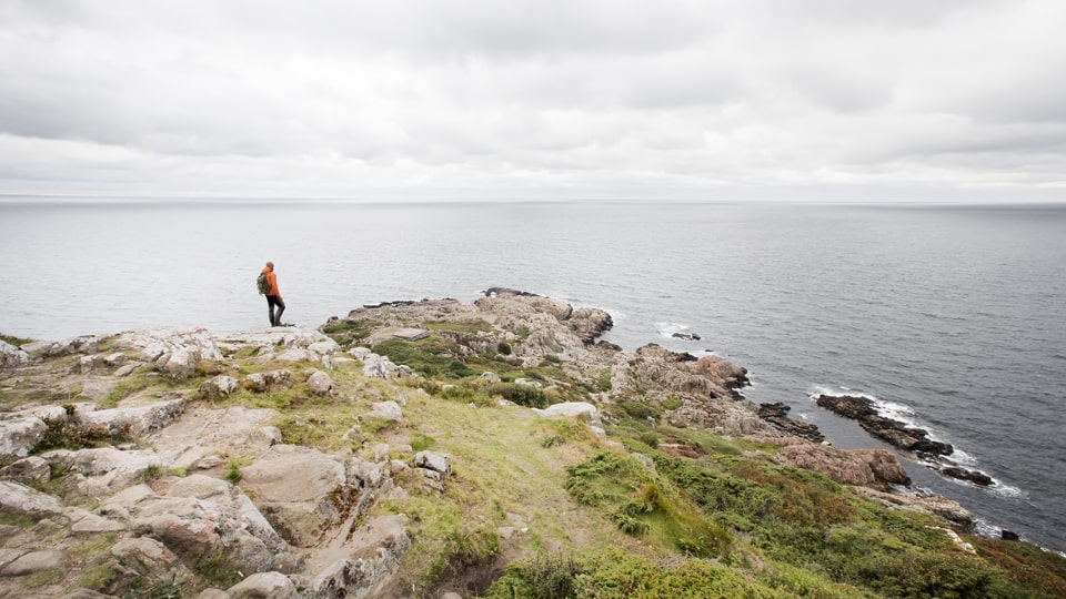 Wandern auf der Halbinsel Kullaberg, Foto: Claire Droppert