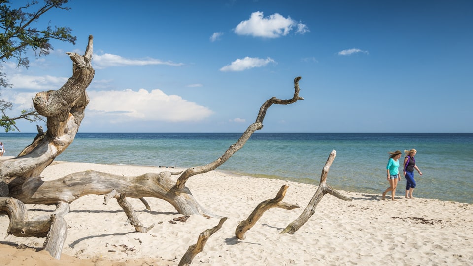 Der Strand von Knäbäckshusen wird häufig als der schönste und einsamste Strand Skånes bezeichnet. Foto: Frits Meyst / WideOyster.com