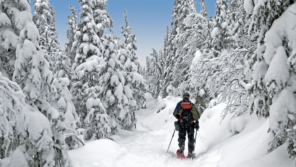 Schneeschuhwanderung in Saguenay-Lac-Saint-Jean. © TQ / B. Cecile