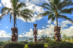 Lonely Planet Online-Reiseführer Hawaii