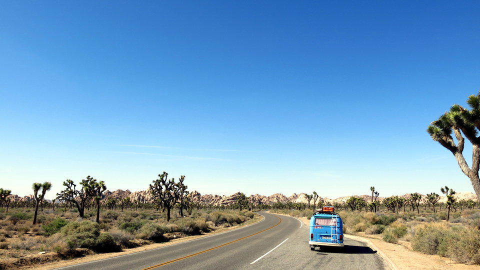 Der Joshua Tree Nationalpark gehört zu den Must-Sees eines Roadtrips durch Kalifornien ©Bee-individual/iStock