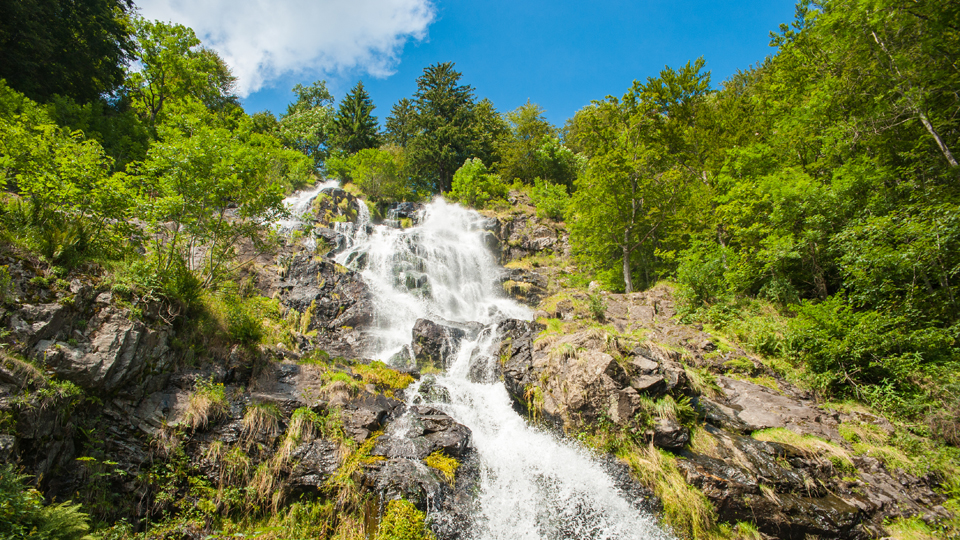 Todtnauer Wasserfall - (Foto: ©Juergen Wackenhut/shutterstock) 