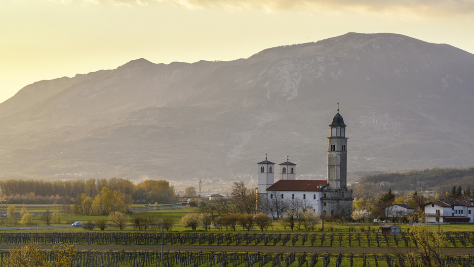 Das Vipava-Tal in Slowenien ist ein echter Geheimtipp für Weinliebhaber, die Lust auf Erlebnisse abseits der bekannten Pfade haben © Mny-Jhee / Getty Images